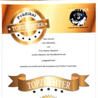 Auszeichnung Top Züchter